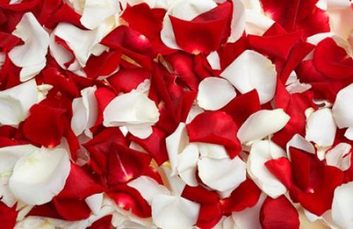 Лепестки роз в вашу спальню: как добавить романтики вашему интерьеру 05 Лепестки роз в вашу спальню: как добавить романтики вашему интерьеру 05