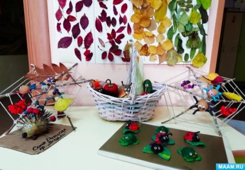 Какие осенние поделки пользуются наибольшей популярностью у детей и родителей. «Дары осени». Выставка поделок из природного материала детей и родителей. Средняя группа