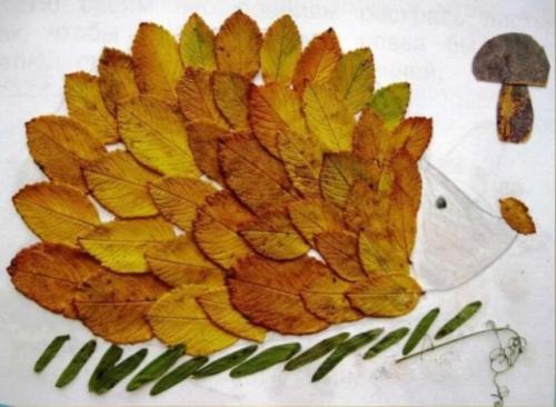 Какие новые идеи появились в этом году для создания осенних поделок. Поделки из природного материала своими руками (все новинки)