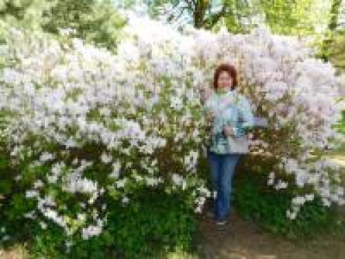 Топ-10 интересных идеи для осенних поделок в детском саду и школе 142