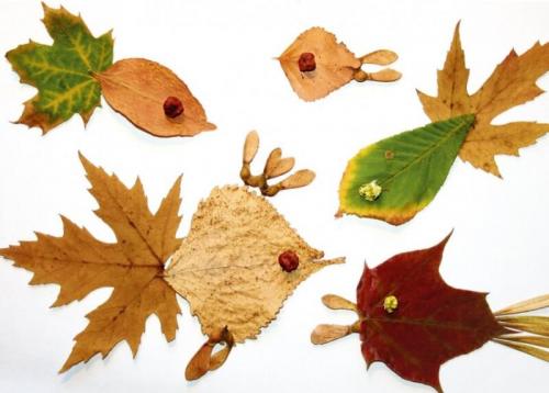 Какие новые идеи появились в этом году для создания осенних поделок. Поделки из природного материала своими руками (все новинки)