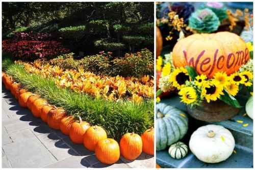 Как сделать украшение из тыквы. Оригинальные идеи поделок из тыквы