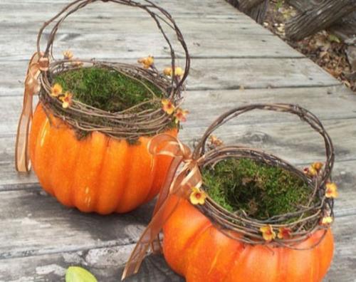 Корзинка из тыквы. Выбор тыквы