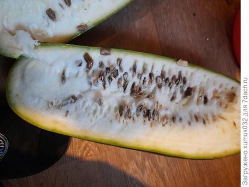 Как высушить лагенарию. Так вот ты, какая, лагенария!