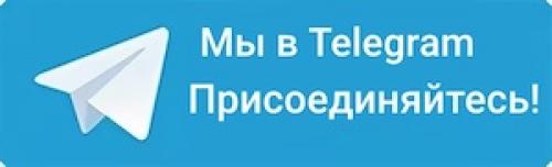 Поделки из зеленой тыквы. Осенние поделки из тыквы: идеи для выставки в садик и школу