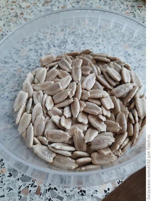 Как высушить лагенарию. Так вот ты, какая, лагенария!