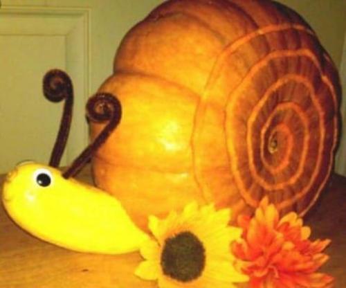 Экибана из тыквы на осенний праздник. Поделки из тыквы на тему «Осень» своими руками