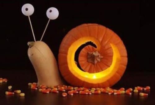 Экибана из тыквы на осенний праздник. Поделки из тыквы на тему «Осень» своими руками