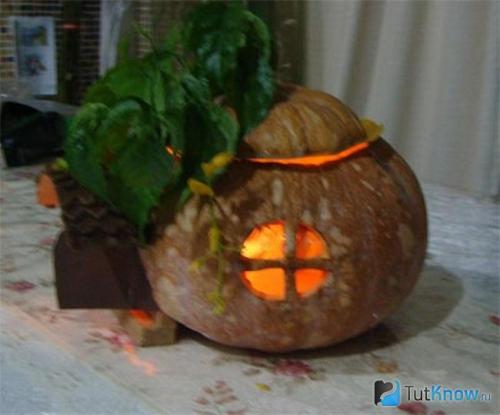 Экибана из тыквы на осенний праздник. Поделки из тыквы на тему «Осень» своими руками 34