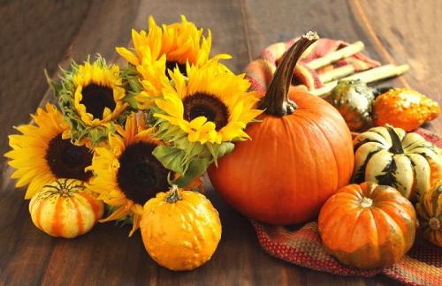 Шаг 1 делаем из тыквы вазу своими руками. Как из тыквы сделать вазу 01