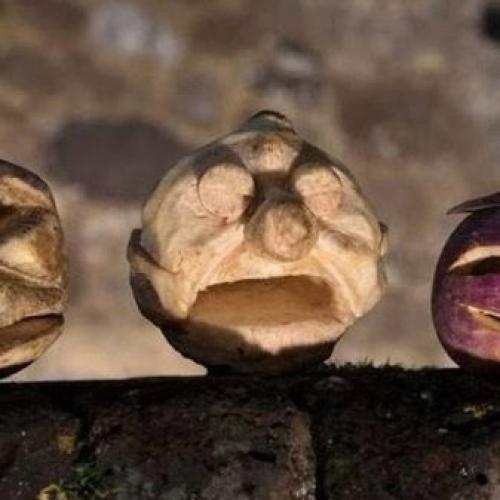 Декор тыквы своими руками. Как делать 16