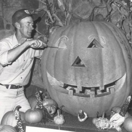 Декор тыквы своими руками. Как делать 17