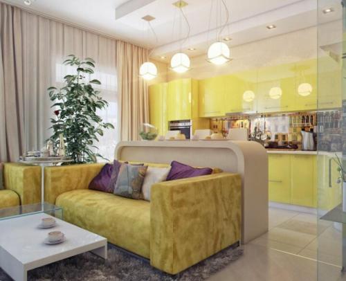 Отделение кухни от жилой зоны: лучшие практические советы 21