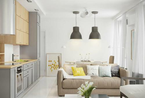 Идеи для оформления кухни-гостиной на 20 кв.м: советы дизайнера 03 Идеи для оформления кухни-гостиной на 20 кв.м: советы дизайнера 03