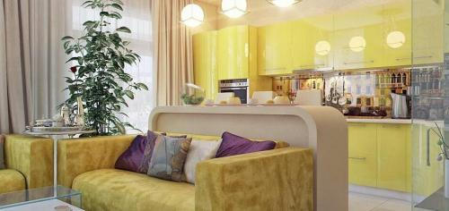 Как сохранить индивидуальность и уют в комнате студии с кухней. Кухня в квартире-студии: как создать роскошный дизайн, не потеряв в практичности