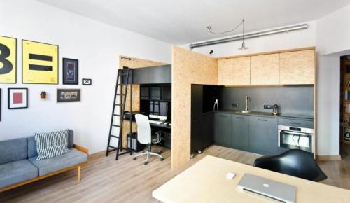 Идеи для создания функционального разделения кухни и жилой зоны в студии 14