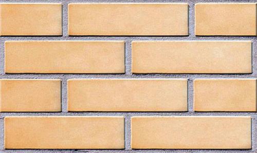 Современные способы наружной отделки загородного дома. Общие правила и рекомендации 12