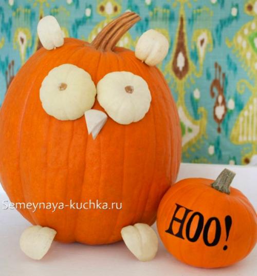 Поделка из тыквы черепаха. Поделки из ТЫКВЫ (84 фото) для сада и школы.