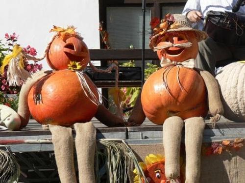 Поделки из тыквы своими руками. Поделки своими руками из тыквы на выставку в школу 37