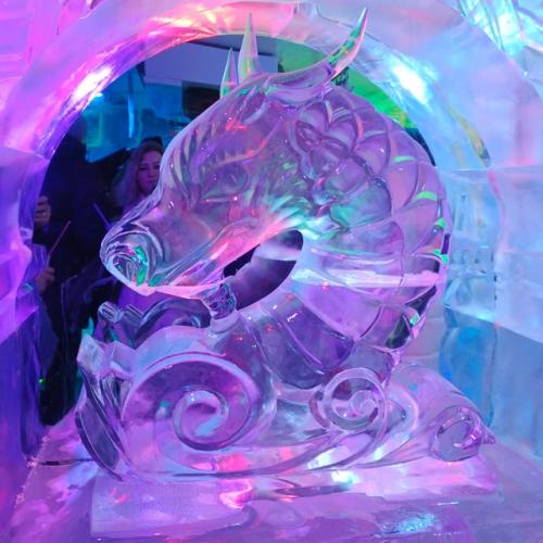 Моя экскурсия у снегурочки продолжилась - ледяной комнатой ( Морозная Экскурсия), принимающая гостей круглый год. 06