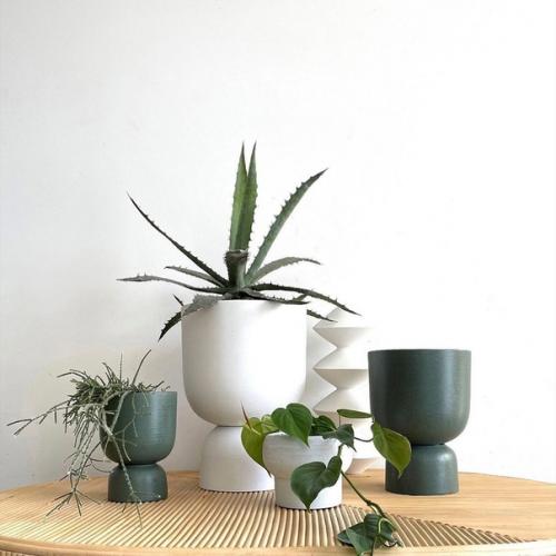 Plant@Scandiinterior.  Комнатные растения в интерьере. 05