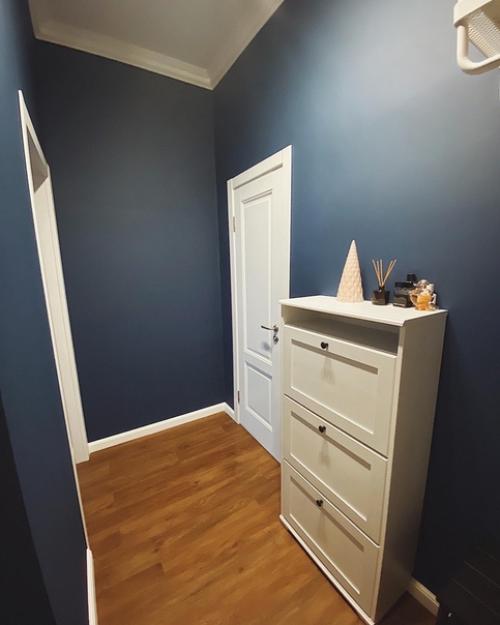 Хочу поделиться результатом, наконец - то доделали прихожую в какой-то момент решили полностью перекрасить и уйти в цвет, ни на минуту не пожалели. 04