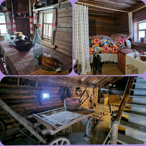 Витославицы 10.  01. 2026 г. 05