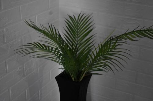 Хотите отдохнуть в самом прекрасном районе сухума? 05