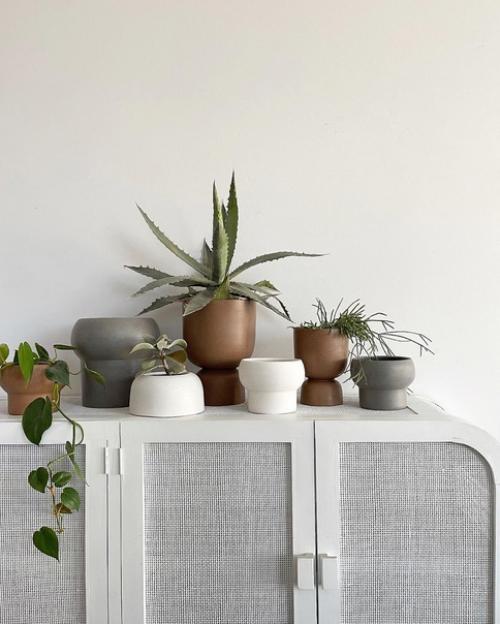Plant@Scandiinterior.  Комнатные растения в интерьере. 04