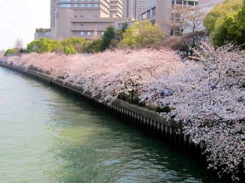 Японское понимание красоты (часть 1). 01