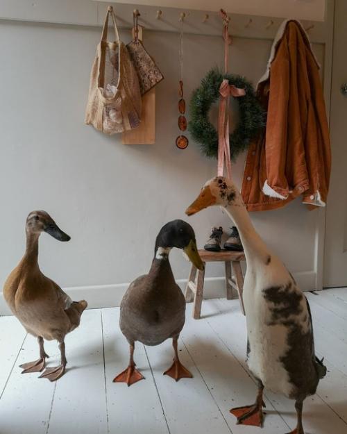 Уютный скандинавский дом с винтажным характером. 05