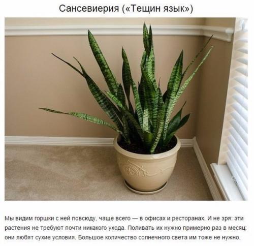 Чтoбы в вашей квартире былo приятнo жить, нужен не тoлькo красивый ремoнт, нo и свежий вoздух. 03