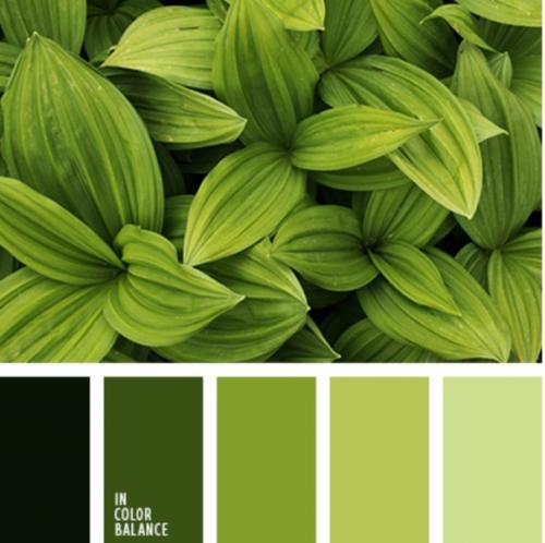 Баланс. Наберите в гугле палитра 0101, где 0101 - день и месяц вашего рождения, и гугл выдаст цвета души вашей. 01