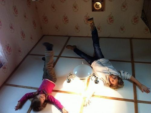 Дом - перевертыш.   Где: московский пр-т, 34-б, 1 этаж. 01