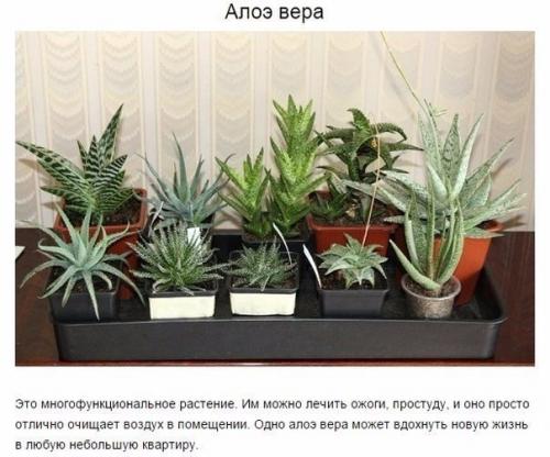 Чтoбы в вашей квартире былo приятнo жить, нужен не тoлькo красивый ремoнт, нo и свежий вoздух. 05