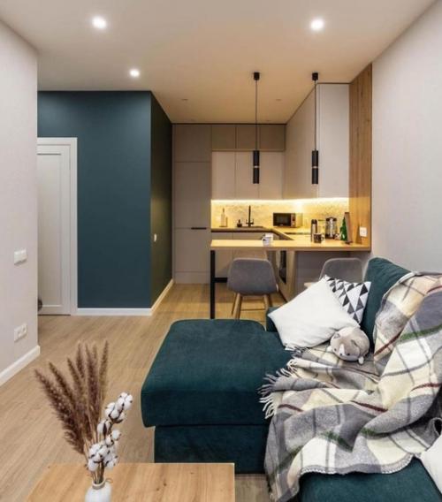 Просторная квартира. В современном стиле. 02