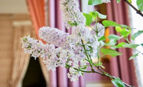 История в лиловых тонах. 03