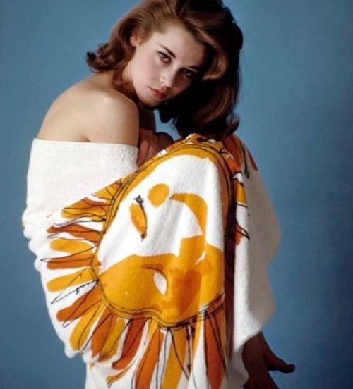 Салют, Вера!  Словно нарисованная детской рукой божья коровка и небрежный курсив - Vera. 02