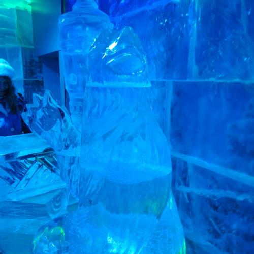 Моя экскурсия у снегурочки продолжилась - ледяной комнатой ( Морозная Экскурсия), принимающая гостей круглый год. 04