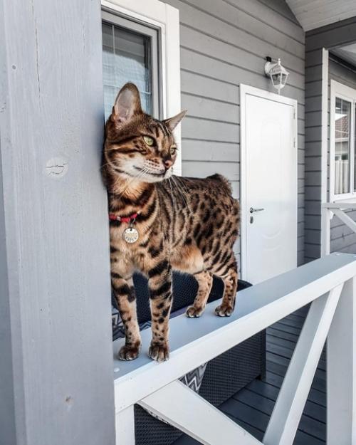 Частный дом, Тюмень. 08