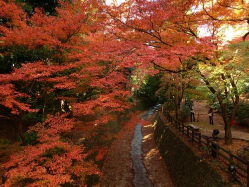 Японское понимание красоты (часть 1). 02