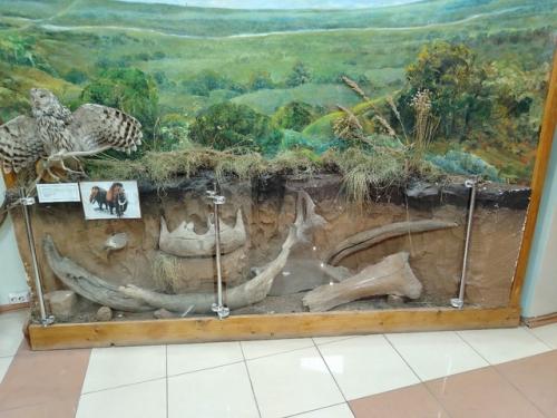 3 января решили посетить мензелинский историко - краеведческий музей. 01