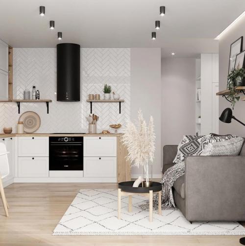 Интерьер кухни - гостиной. 04