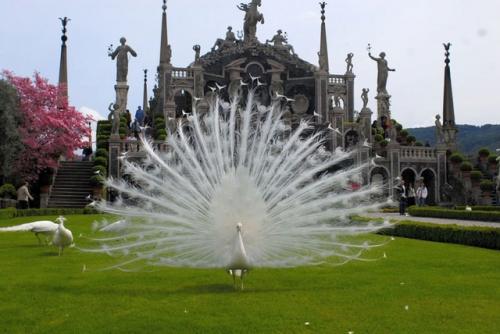 Немного авторской кухни. 01