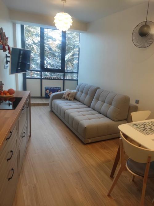 Реализация нашего проекта в Зеленогорске. 01