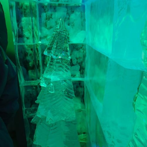 Моя экскурсия у снегурочки продолжилась - ледяной комнатой ( Морозная Экскурсия), принимающая гостей круглый год. 05