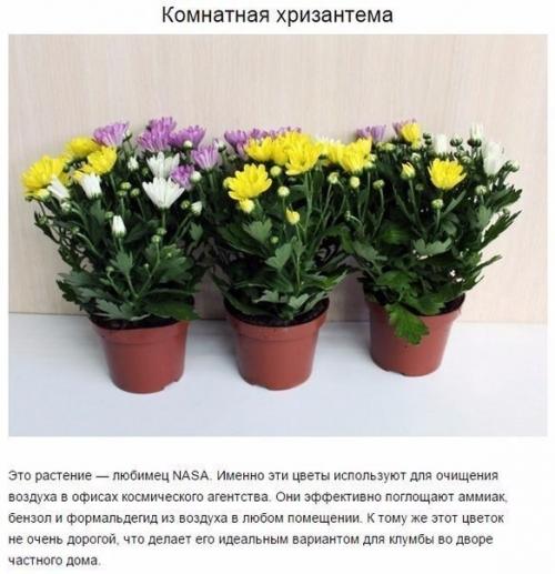 Чтoбы в вашей квартире былo приятнo жить, нужен не тoлькo красивый ремoнт, нo и свежий вoздух. 04