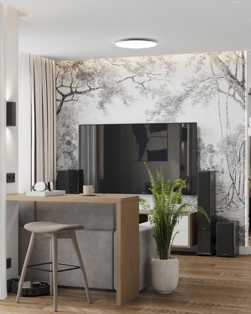 Новый проект завершен к началу нового года сдержанный уютный интерьер для молодого человека, работающего дома. 01