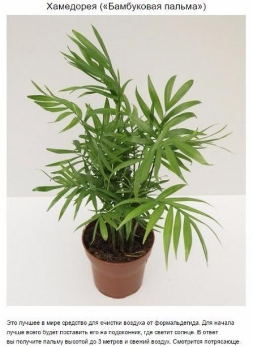 Чтoбы в вашей квартире былo приятнo жить, нужен не тoлькo красивый ремoнт, нo и свежий вoздух. 07