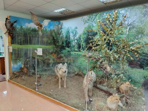 3 января решили посетить мензелинский историко - краеведческий музей. 03